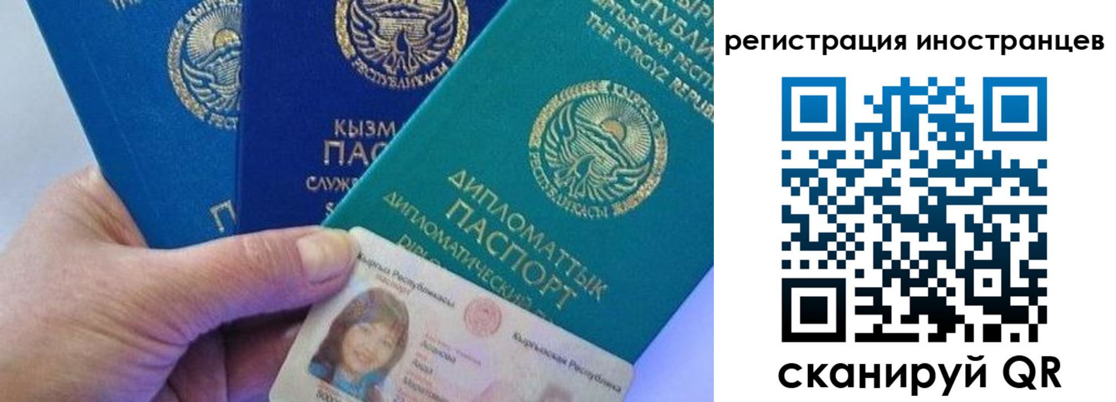прописка в Михайлове
